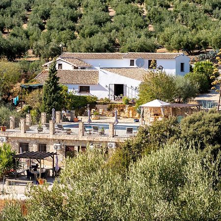 Hacienda La Buena Vida B&B En Appartementen Casita La Bruja Альгаринехо Номер фото