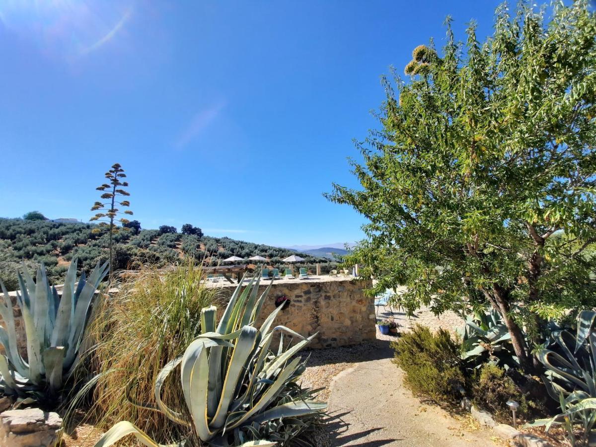 Hacienda La Buena Vida B&B En Appartementen Casita La Bruja Альгаринехо Экстерьер фото