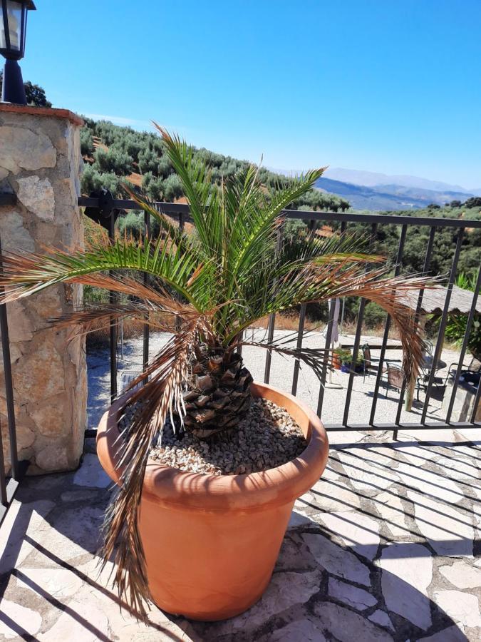 Hacienda La Buena Vida B&B En Appartementen Casita La Bruja Альгаринехо Экстерьер фото