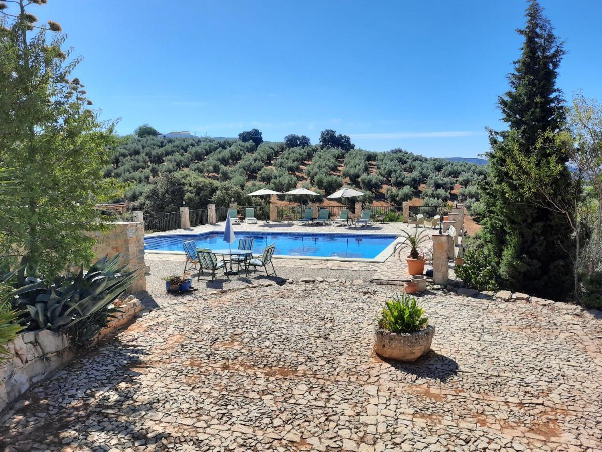 Hacienda La Buena Vida B&B En Appartementen Casita La Bruja Альгаринехо Экстерьер фото