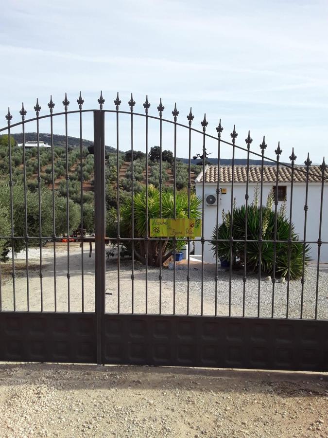 Hacienda La Buena Vida B&B En Appartementen Casita La Bruja Альгаринехо Экстерьер фото