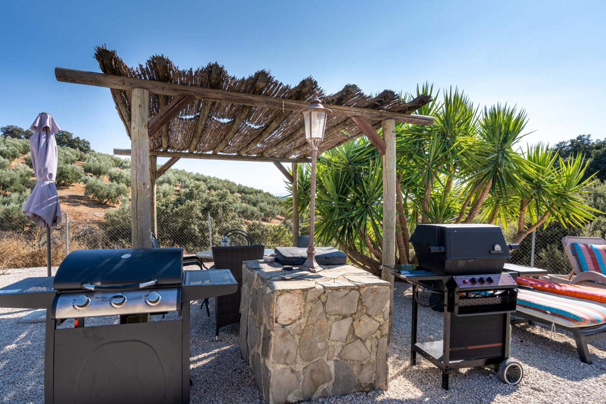 Hacienda La Buena Vida B&B En Appartementen Casita La Bruja Альгаринехо Номер фото