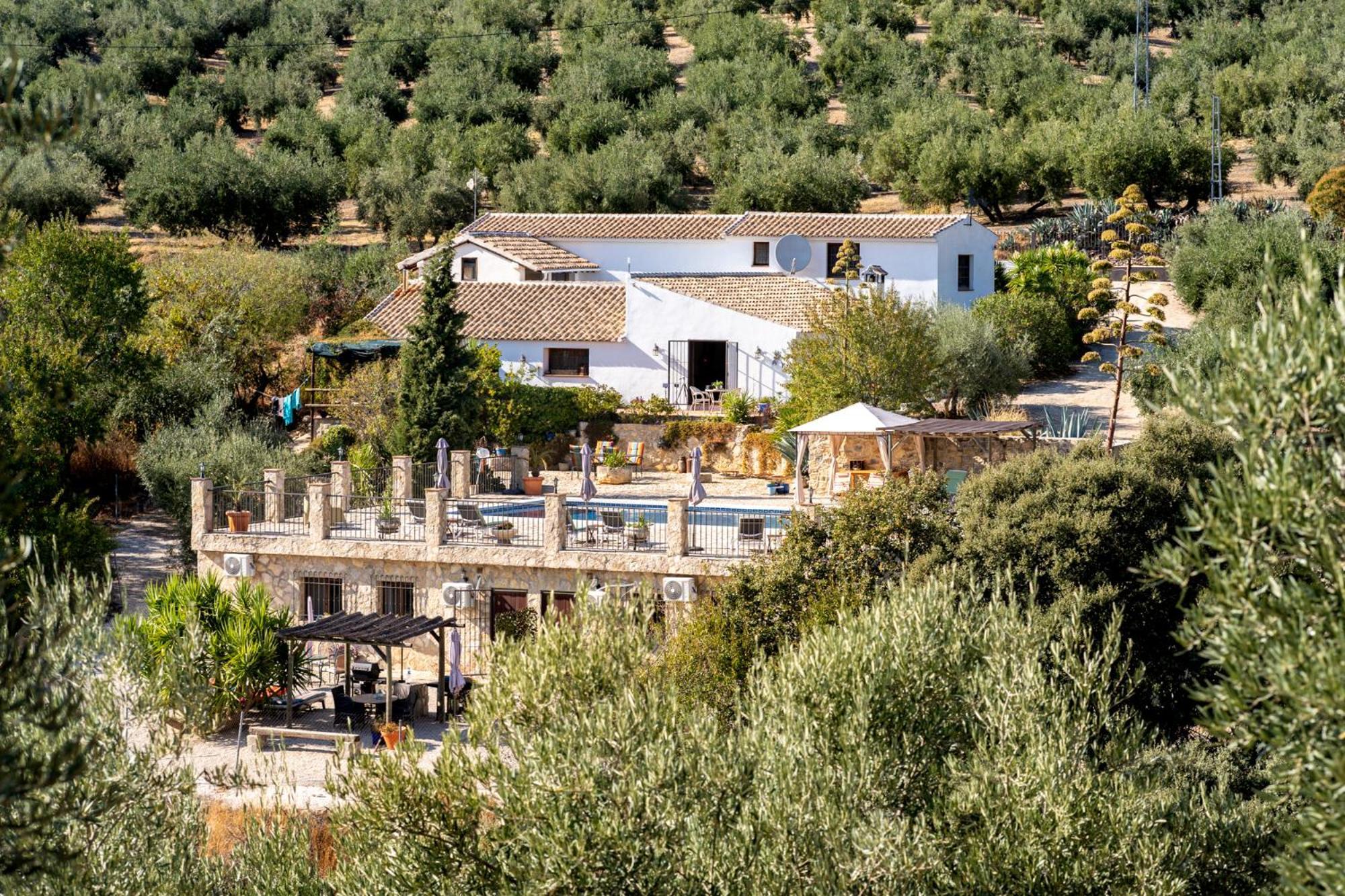 Hacienda La Buena Vida B&B En Appartementen Casita La Bruja Альгаринехо Номер фото